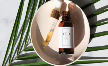 Effective CBD Products to Use Regularly for A Healthy Body and Skin