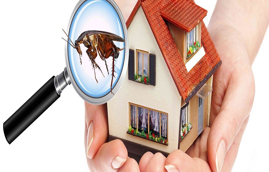Pest Management in Williams Landing: Threats and Solutions available