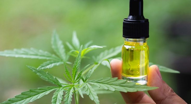 How Using CBD Oil is Beneficial to the People?