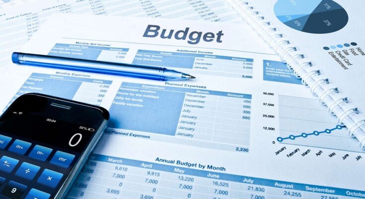 Businesses on a Budget